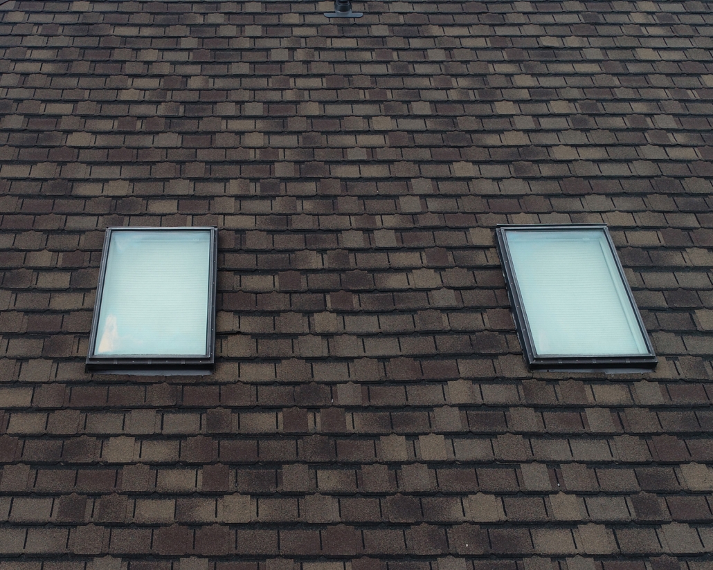 Fixed skylight